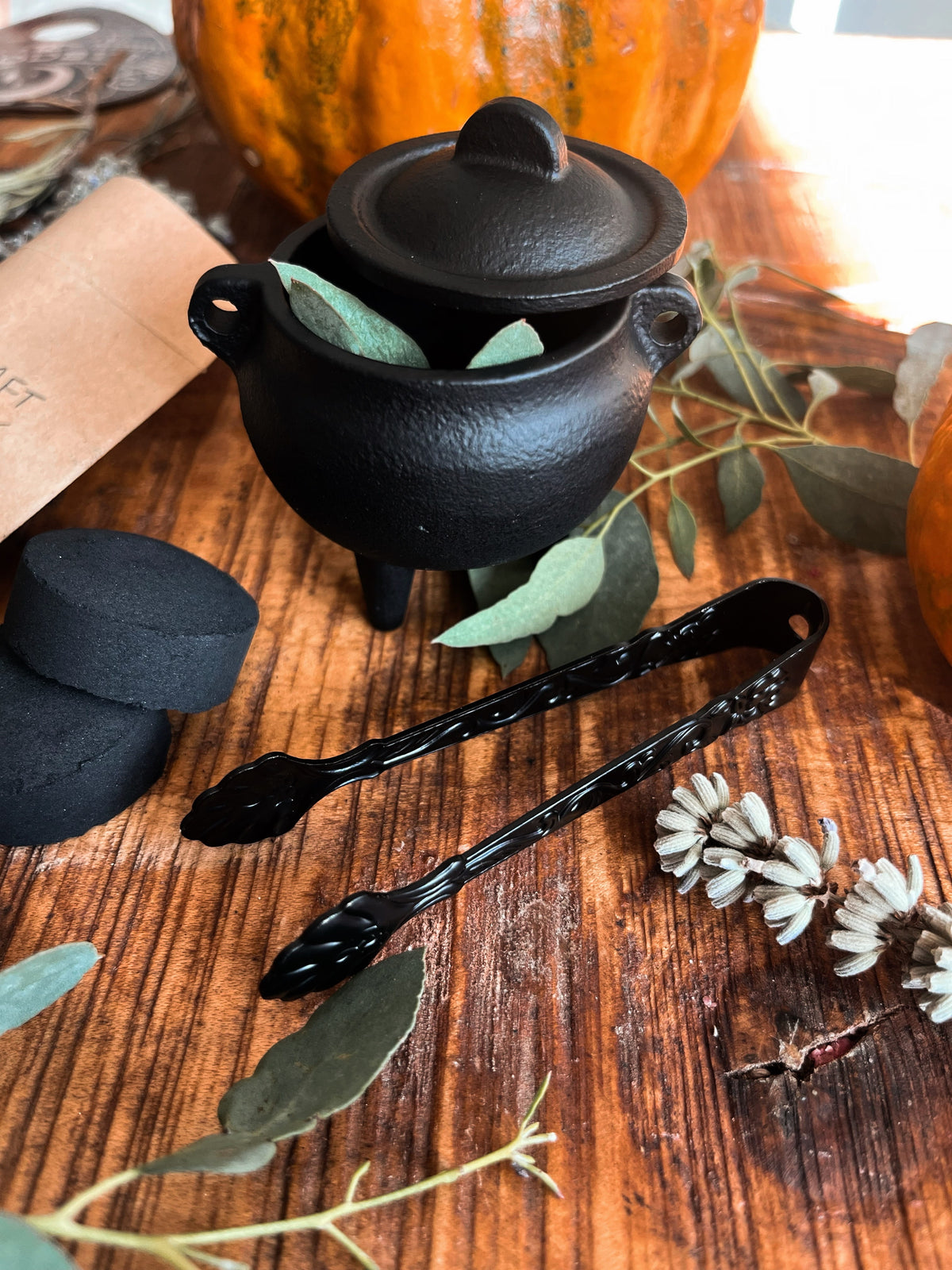 Cast Iron Cauldron Set